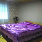 Kirayə (günlük) 3 otaqlı Həyət evi/villa Qəbələ 12