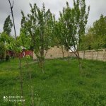 Satılır 3 otaqlı Həyət evi/villa Qəbələ 2