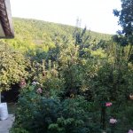 Kirayə (günlük) 4 otaqlı Bağ evi Şəki 24
