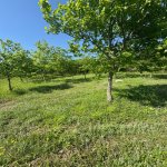 Продажа Участок Исмаиллы 6