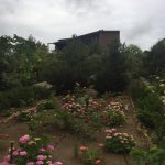 Kirayə (aylıq) 6 otaqlı Bağ evi, Bilgəh qəs., Sabunçu rayonu 7