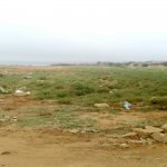 Satılır Torpaq, Masazır, Abşeron rayonu 3