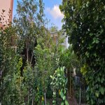 Satılır 7 otaqlı Həyət evi/villa, Əhmədli metrosu, Əhmədli, Xətai rayonu 21