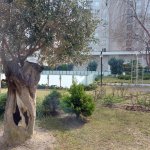 Satılır 4 otaqlı Xarici Əmlak 15