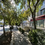 Kirayə (aylıq) Obyekt, Nəsimi rayonu 20