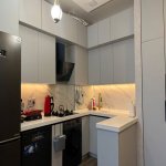 Kirayə (aylıq) 2 otaqlı Yeni Tikili, Gənclik metrosu, Nərimanov rayonu 12