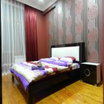 Kirayə (günlük) 3 otaqlı Yeni Tikili, Səbail rayonu 11