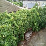 Продажа 5 комнат Дома/Виллы, пос. Гарачухур, Сураханы район 23