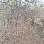 Satılır Torpaq, Novxanı, Abşeron rayonu 21