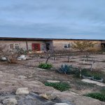 Satılır Torpaq, Xəzər rayonu 5