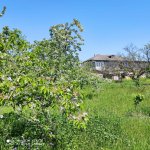 Продажа 5 комнатная Дома/Виллы Хачмаз 3