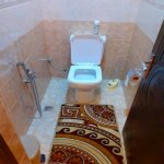 Kirayə (günlük) 5 otaqlı Bağ evi Qəbələ 14