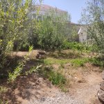 Satılır Torpaq, Mərdəkan, Xəzər rayonu 5