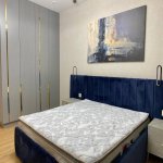 Аренда 3 комнатная Новостройка, м. 20 Января метро, Насими район 23