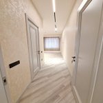 Kirayə (aylıq) 2 otaqlı Yeni Tikili, Nəriman Nərimanov metrosu, Nərimanov rayonu 4