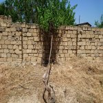 Продажа Участок, Горадиль, Абшерон район 5