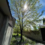 Посуточно 3 комнатная Дома/Виллы Гябяля 2