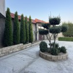 Продажа 5 комнат Дома/Виллы, м. Короглу метро, пос. Маштага, Сабунчу район 4