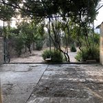 Satılır Torpaq, Saray, Abşeron rayonu 6