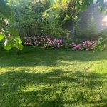 Kirayə (aylıq) 5 otaqlı Bağ evi, Novxanı, Abşeron rayonu 6