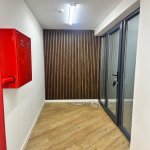 Kirayə (aylıq) 12 otaqlı Ofis, Azadlıq metrosu, Nəsimi rayonu 19