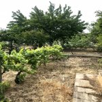 Satılır 6 otaqlı Bağ evi, Novxanı, Abşeron rayonu 15