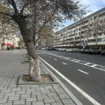 Satılır Obyekt, Sahil metrosu, Nəsimi rayonu 2