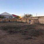 Satılır Torpaq, Saray, Abşeron rayonu 7