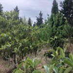 Продажа 6 комнат Дача, Шювалан, Хязяр район 43