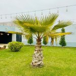 Kirayə (aylıq) 4 otaqlı Həyət evi/villa, Şüvəlan, Xəzər rayonu 26