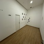 Kirayə (aylıq) 2 otaqlı Ofis, 28 May metrosu, Nəsimi rayonu 11