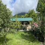 Kirayə (günlük) 3 otaqlı Həyət evi/villa Qəbələ 16