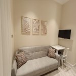 Аренда 1 комнатная Вторичка, м. Ичяришяхяр метро, Сябаиль район 3