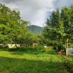 Kirayə (günlük) 4 otaqlı Həyət evi/villa Qax 16
