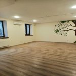 Kirayə (aylıq) 12 otaqlı Ofis, Nəsimi rayonu 1
