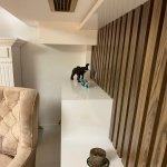 Kirayə (aylıq) 13 otaqlı Ofis, 28 May metrosu, Nəsimi rayonu 25