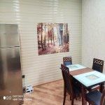 Satılır 6 otaqlı Həyət evi/villa İsmayıllı 14