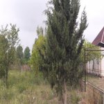 Satılır 4 otaqlı Həyət evi/villa Salyan 15