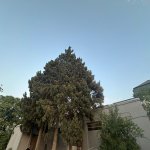 Kirayə (aylıq) Obyekt, Biləcəri qəs., Binəqədi rayonu 7