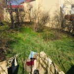 Продажа Участок, пос. Бадамдар, Сябаиль район 11