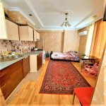 Satılır 1 otaqlı Yeni Tikili, İnşaatçılar metrosu, Yeni Yasamal qəs., Yasamal rayonu 1