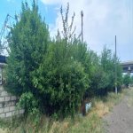 Satılır 3 otaqlı Həyət evi/villa Ağstafa 27