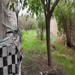 Satılır 4 otaqlı Həyət evi/villa, Saray, Abşeron rayonu 16