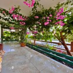 Kirayə (aylıq) 10 otaqlı Bağ evi, Mərdəkan, Xəzər rayonu 20
