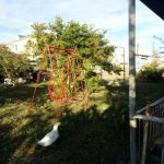 Satılır Torpaq, Əhmədli metrosu, kənd Əhmədli, Xətai rayonu 10