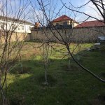 Satılır Torpaq, Abşeron rayonu 6