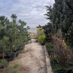 Satılır Torpaq, Novxanı, Abşeron rayonu 5