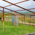 Satılır Torpaq Şamaxı 10
