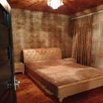 Kirayə (günlük) 3 otaqlı Həyət evi/villa Şəki 15