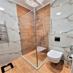 Аренда 2 комнатная Новостройка, м. 28 Мая метро, Насими район 14